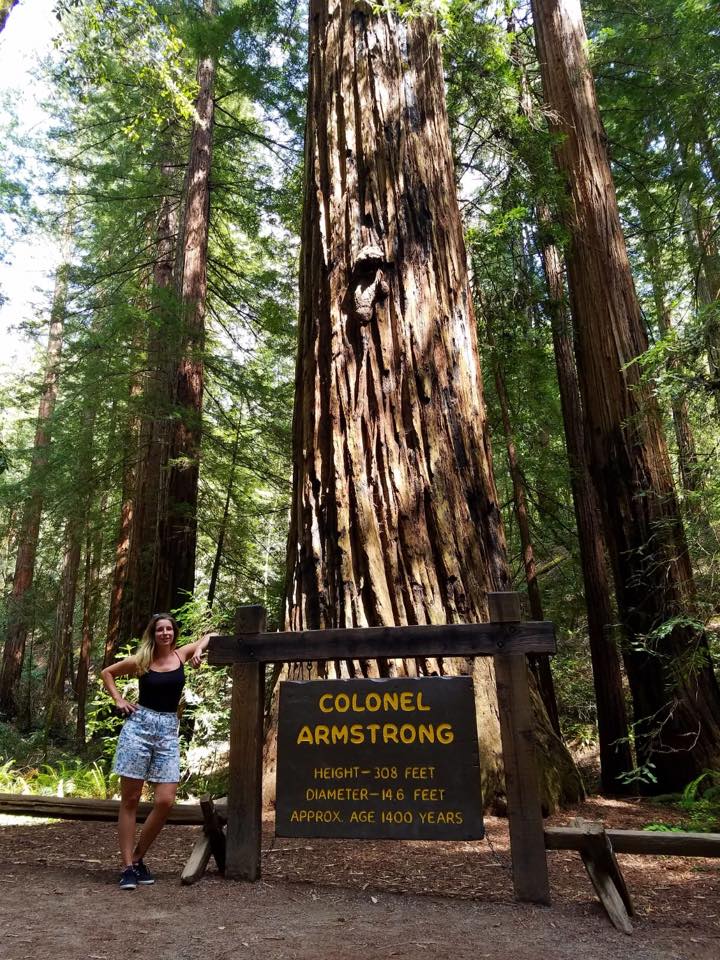 Redwoods California